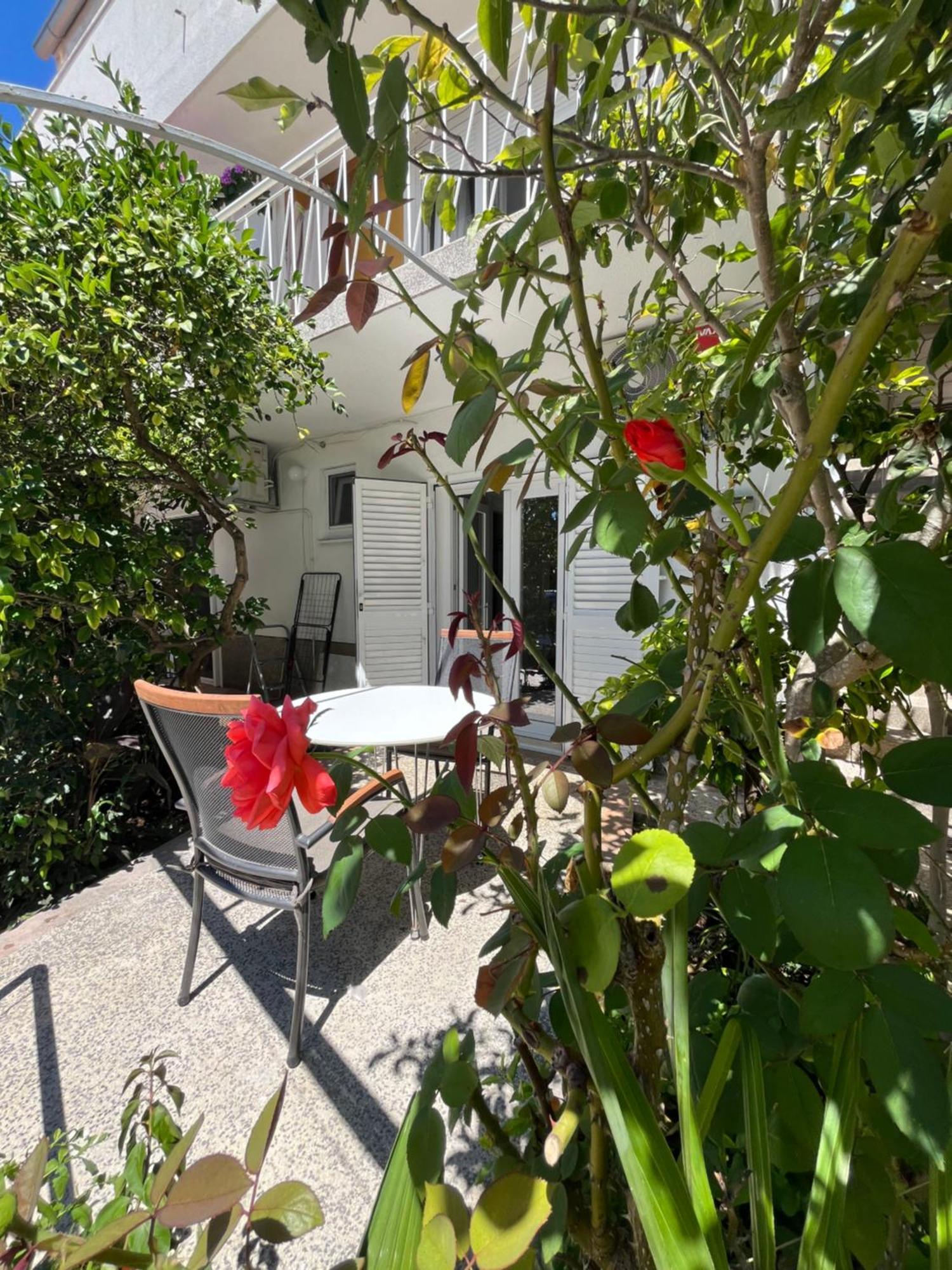 Ferienwohnung Green Oasis For Two, 30 Meters From Sea Zadar Exterior foto